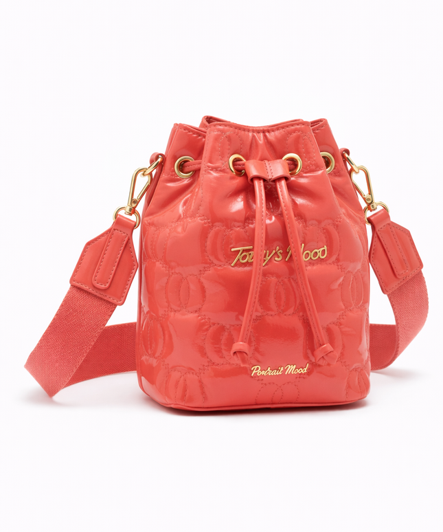 Gemini said The P|M Aura Quilted Bucket - Coral Patent Today's Mood Edition