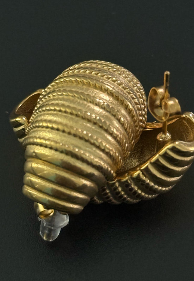 Regal Shell Earrings – Textured Elegance in Gold