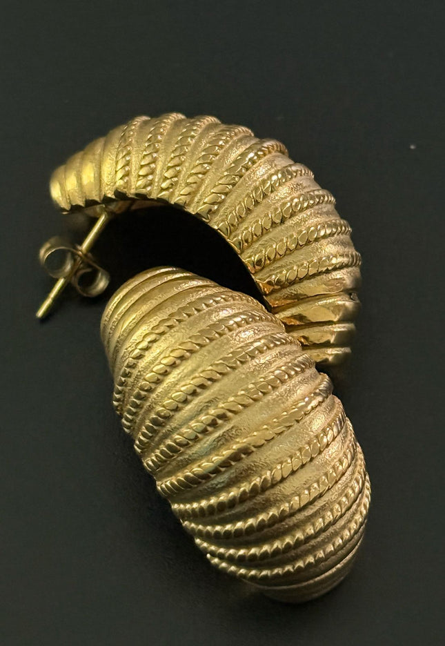 Regal Shell Earrings – Textured Elegance in Gold
