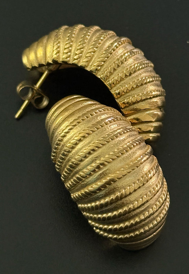 Regal Shell Earrings – Textured Elegance in Gold