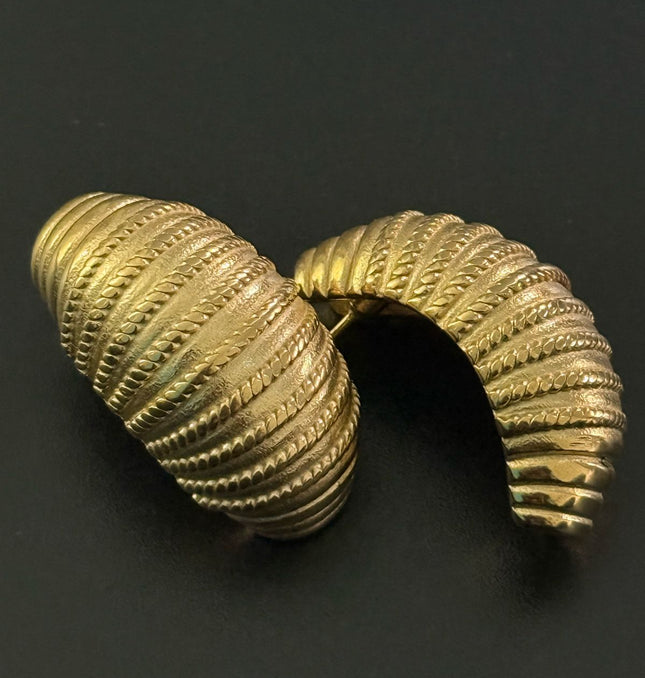 Regal Shell Earrings – Textured Elegance in Gold